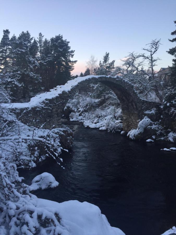 81 The Heathers, Aviemore Holiday Park , Dalfaber Rd Aviemore Ph22 1Px المظهر الخارجي الصورة